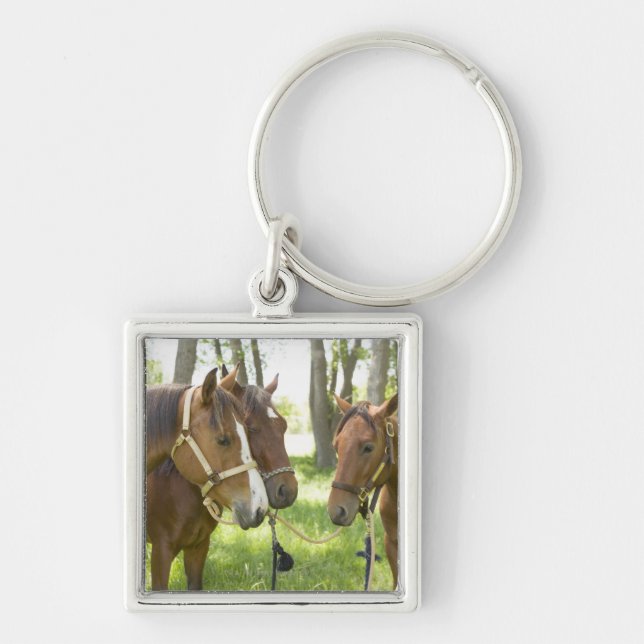 Chaveiro Dois cavalos de um quarto americanos que estão na (Frente)