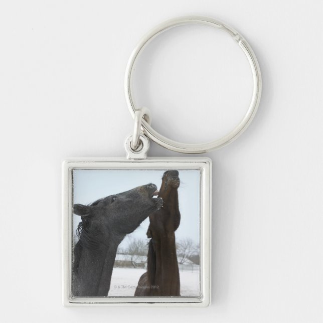 Chaveiro dois cavalos que neighing (Frente)