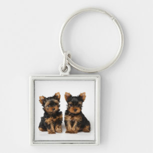 Chaveiro Dois filhotes de cachorro