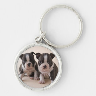 Chaveiro Dois filhotes de cachorro de Boston Terrier