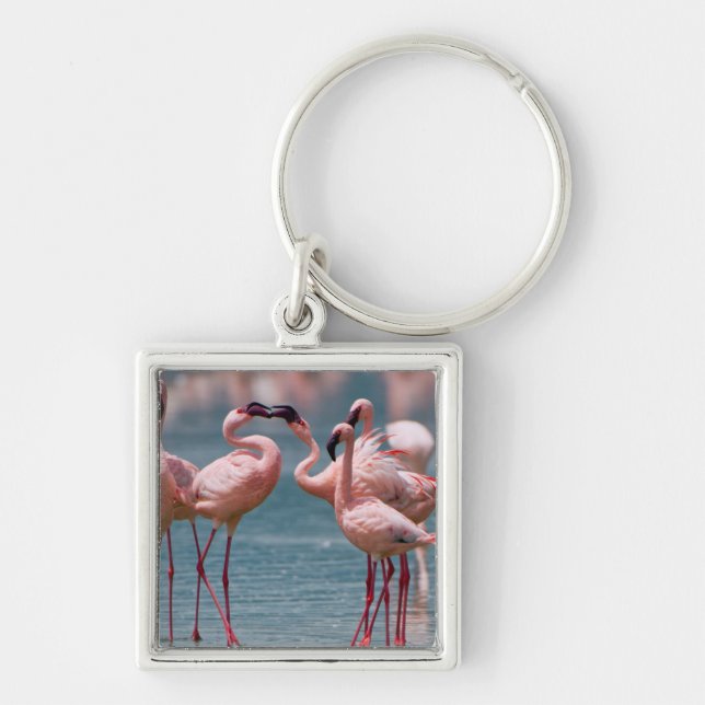 Chaveiro Dois Flamingos Menores Machos (Phoenicopterus Mino (Frente)