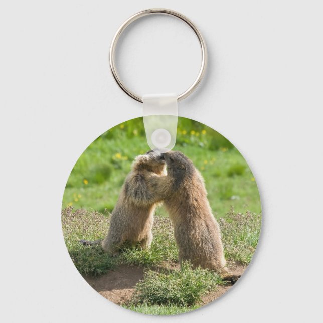 Chaveiro dois jovens marmotas (Frente)