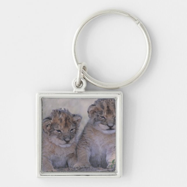Chaveiro Dois leão Cubs (Frente)