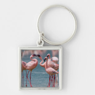 Chaveiro Dois Menores Flamingos Masculinos (Phoenicopterus 