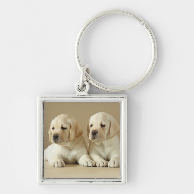 Chaveiro Dois Ouros Labrador Puppies (Frente)