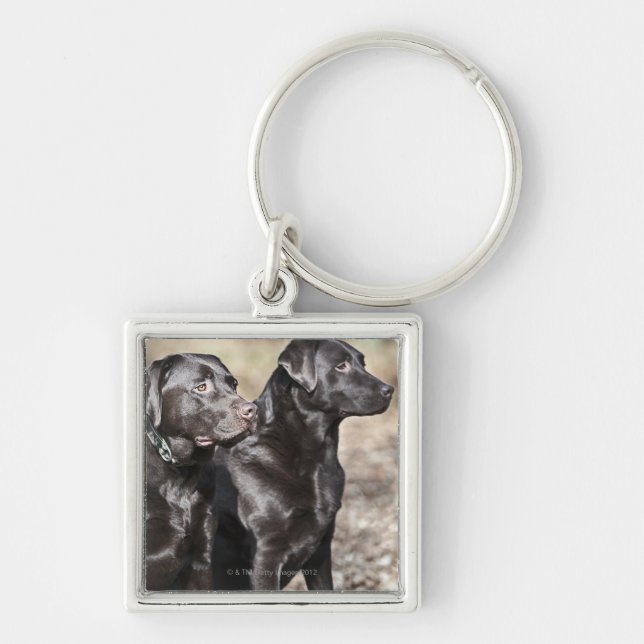 Chaveiro Dois retrievers de Labrador pretos (Frente)