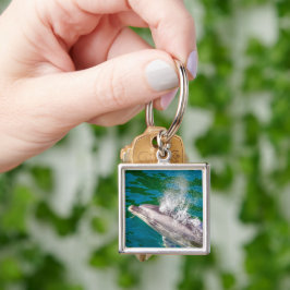Chaveiro Dolphin In Milford Sound, Nova Zelândia