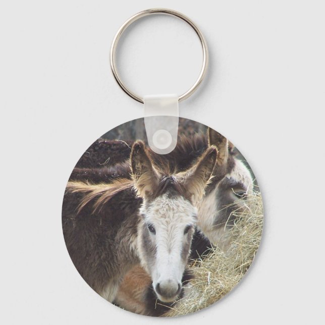 Chaveiro Donkey (Frente)
