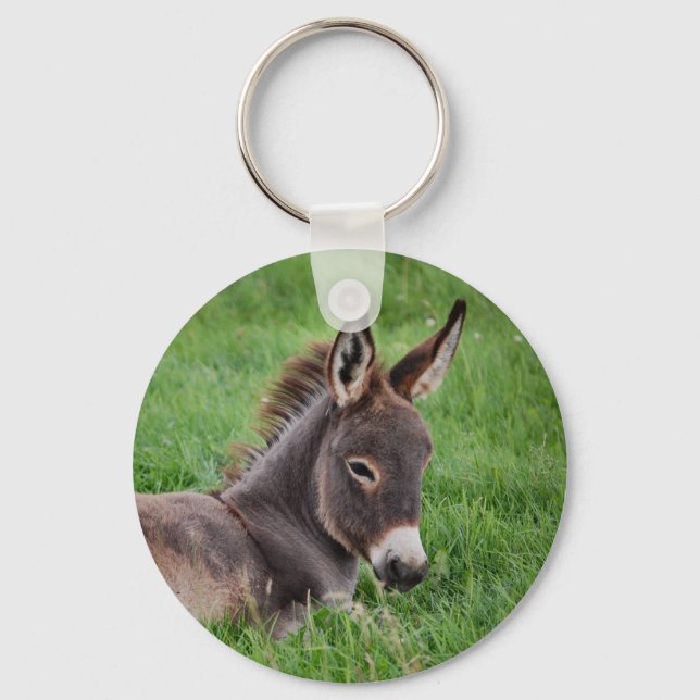 Chaveiro Donkey Na Grama (Frente)