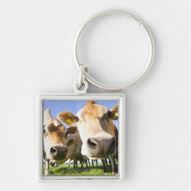 Chaveiro Dorset, Reino Unido (Frente)