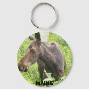 Chaveiro dos alces de Maine