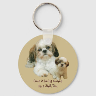 Chaveiro dos amigos de Shih Tzu