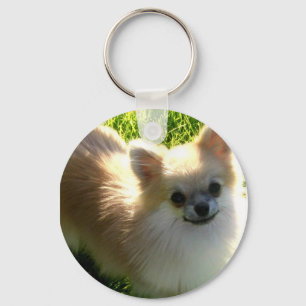 Chaveiro dos filhotes de cachorro de Pomeranian