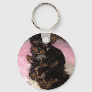 Chaveiro dos filhotes de cachorro de Yorkie