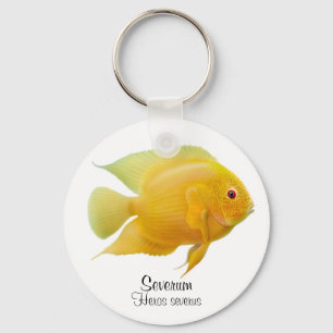 Chaveiro Dourado da cichlidae de Severum