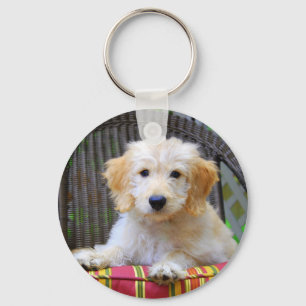Chaveiro dourado do filhote de cachorro do Doodle