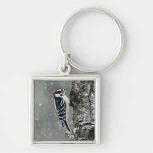 Chaveiro Downy Woodpecker em Neve - Foto Original
