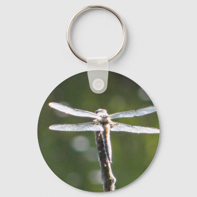 Chaveiro Dragonfly de cinza clara (Frente)