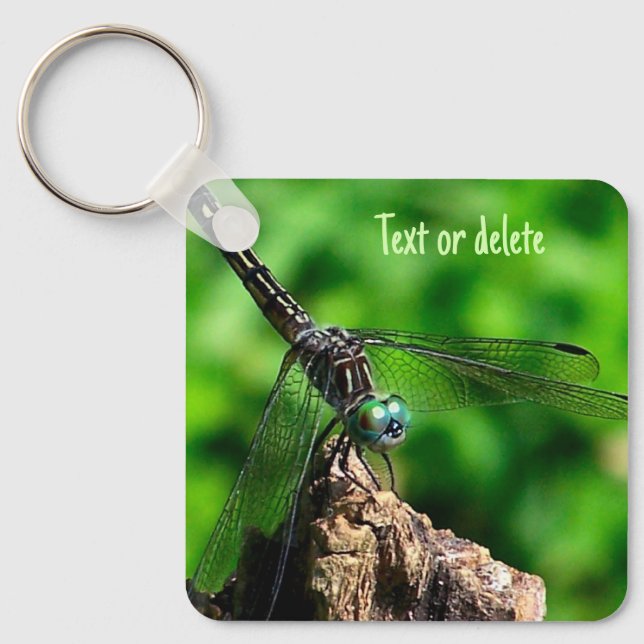 Chaveiro Dragonfly Nature Personalizado (Frente)