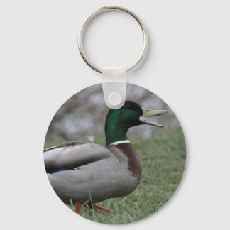 Chaveiro Drake Mallard Duck