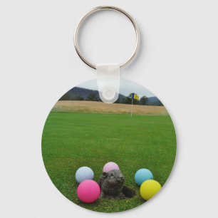 CHAVEIRO DSCF0692.JPG