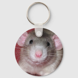 Chaveiro Dumbo Rat Bonito