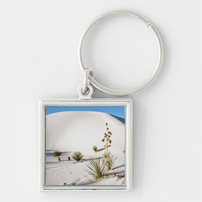 Chaveiro Dunas Transversais e Soaptree Yucca (Frente)