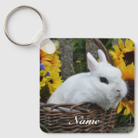 Dwarf Hotot Bunny Rabbit com girassóis