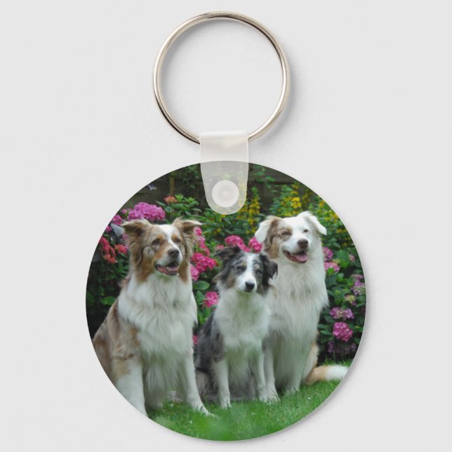 Chaveiro ein Border Collie, blue merle, und zwei Austrália (Frente)