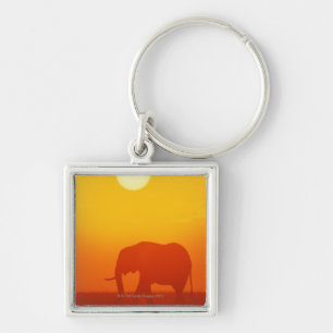 Chaveiro Elefante africano que anda no por do sol, Kenya