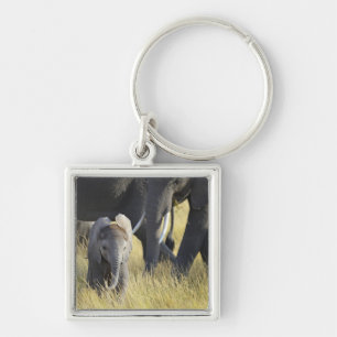 Chaveiro Elefante do bebê