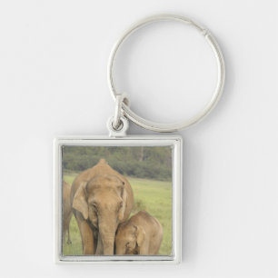 Chaveiro Elefante indiano / asiático e filhote, Corbett