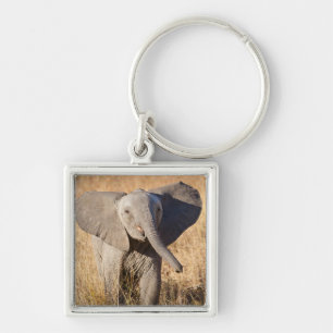 Chaveiro Elefante jovem da savana