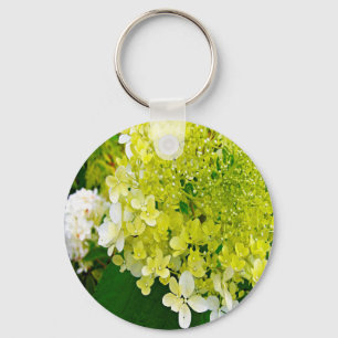Chaveiro Elegante Hortênsia Limelight Verde Chartreuse