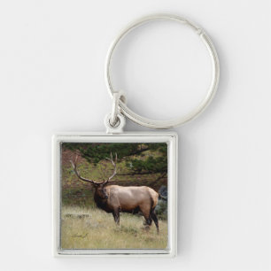 Chaveiro Elk na Natureza