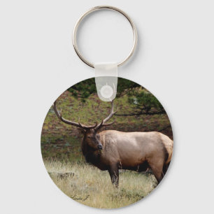 Chaveiro Elk na Selva
