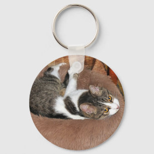 Chaveiro Em Sua Cama De Gato