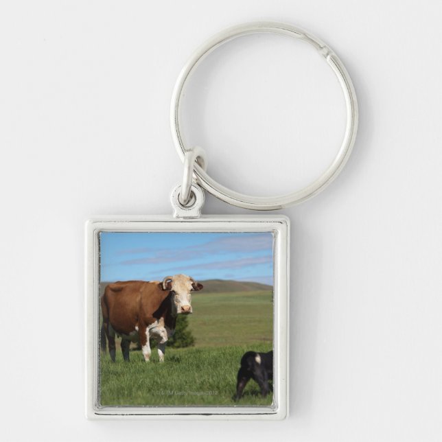 Chaveiro Embora as vacas e os cães sejam de diferente (Frente)
