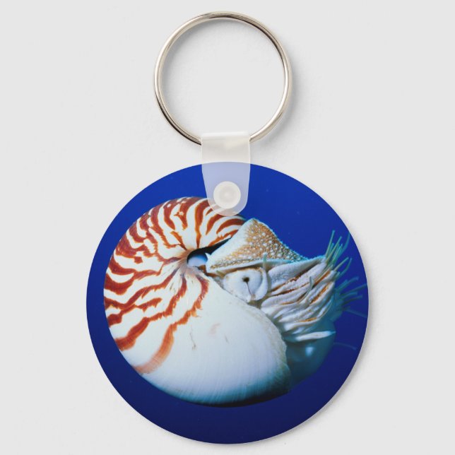 Chaveiro Encerramento De Nautilos Cambiados (Frente)