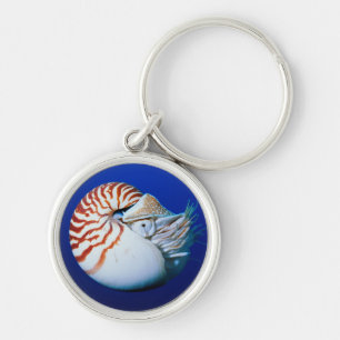 Chaveiro Encerramento De Nautilus Cambaleado