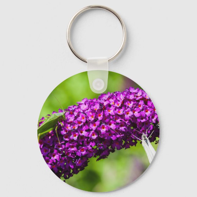 Chaveiro energia katydid (Frente)