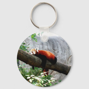 Chaveiro engraçado preguiçoso animal adorável da panda