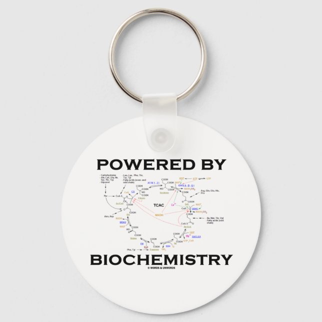 Chaveiro Equipado Com Bioquímica (Ciclo De Krebs) (Frente)