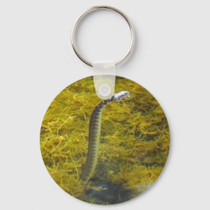 Chaveiro ereto do cobra