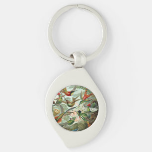 Chaveiro Ernst Haeckel Hummingbird - Formas de Arte da Natu