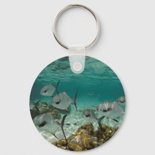 Chaveiro Escola de Peixes Permit