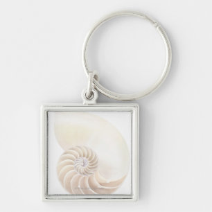 Chaveiro Escudo do nautilus, fim-acima