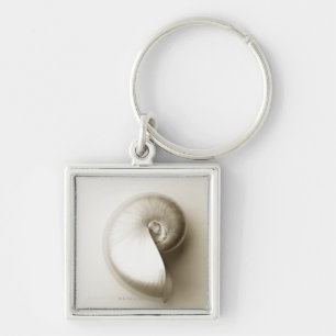 Chaveiro Escudo Pearlised 2 do mar do nautilus