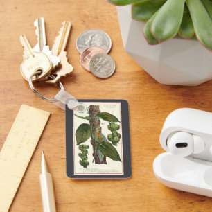 Chaveiro Especiarias de Comidas de Vintage, Pepper Preto