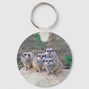 Chaveiro espreitando de 4 Meerkats